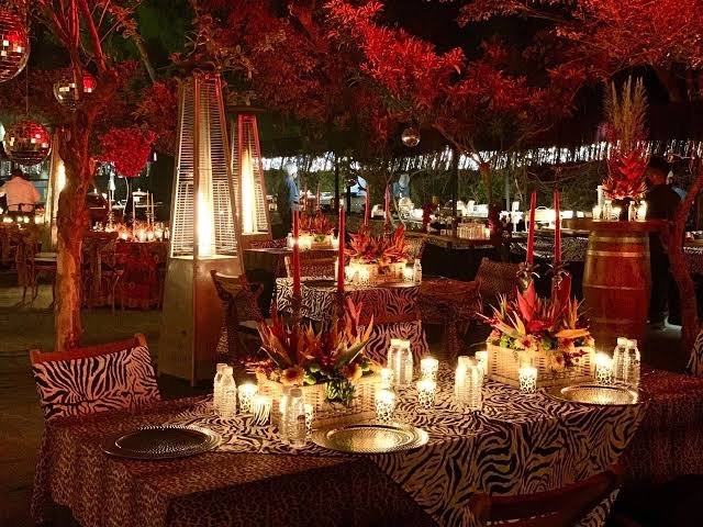 Night Dinner Setup